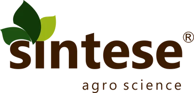Síntese