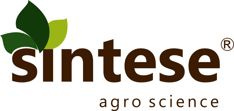 Sintese